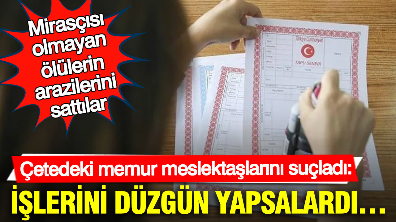 Mirasçısı olmayan ölülerin arazilerini sattılar: Çetedeki memur meslektaşlarını suçladı