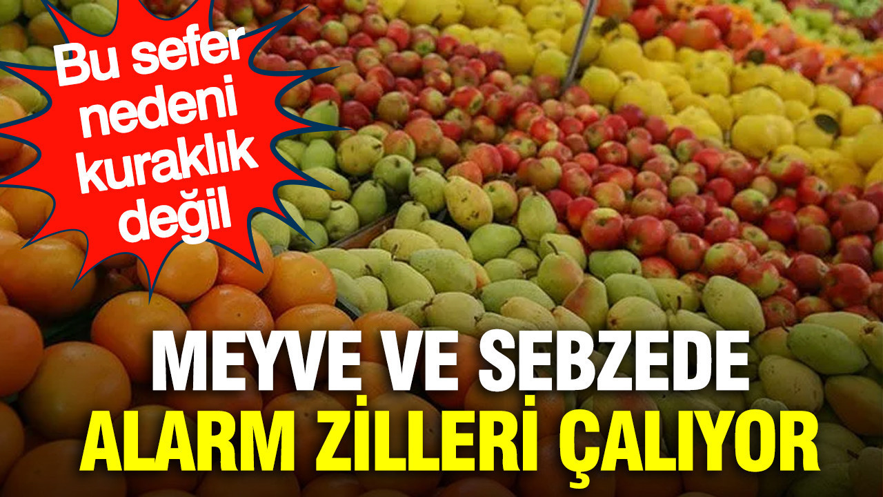 Meyve ve sebzede alarm zilleri çalıyor: Bu sefer nedeni kuraklık değil