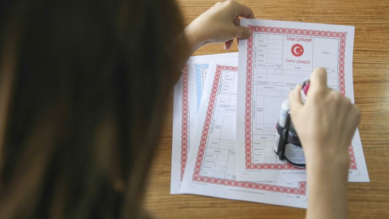 Orman arazilerinde köklü değişiklik: Tapular iade edilecek