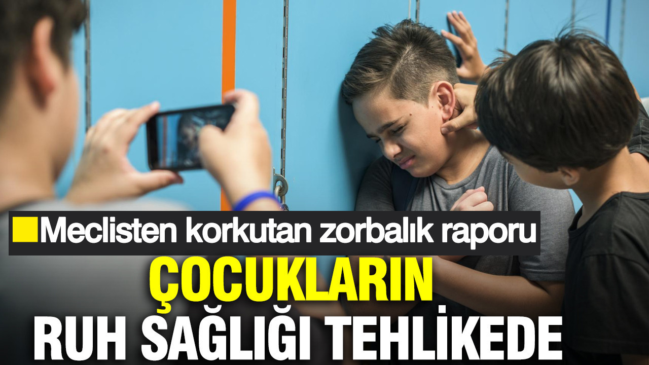 TBMM raporu acı tabloyu ortaya koydu: Her 7 çocuktan biri zorbalık mağduru