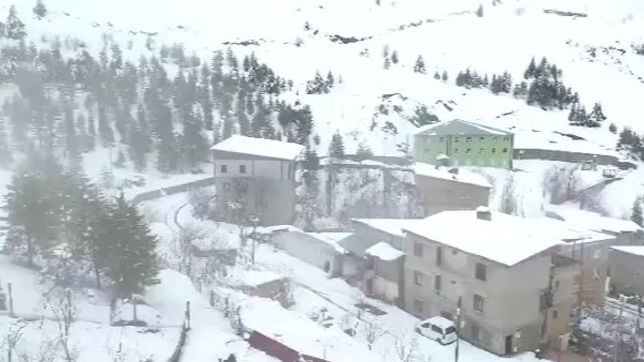 Van, Hakkari, Bitlis'te 103 yol kapandı: Kar ve tipi ulaşımı felç etti