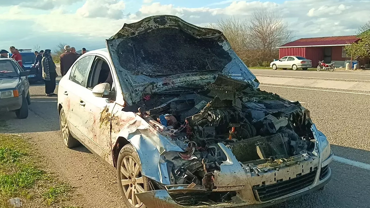 Adana'da otomobilin çarptığı 7 koyun telef oldu