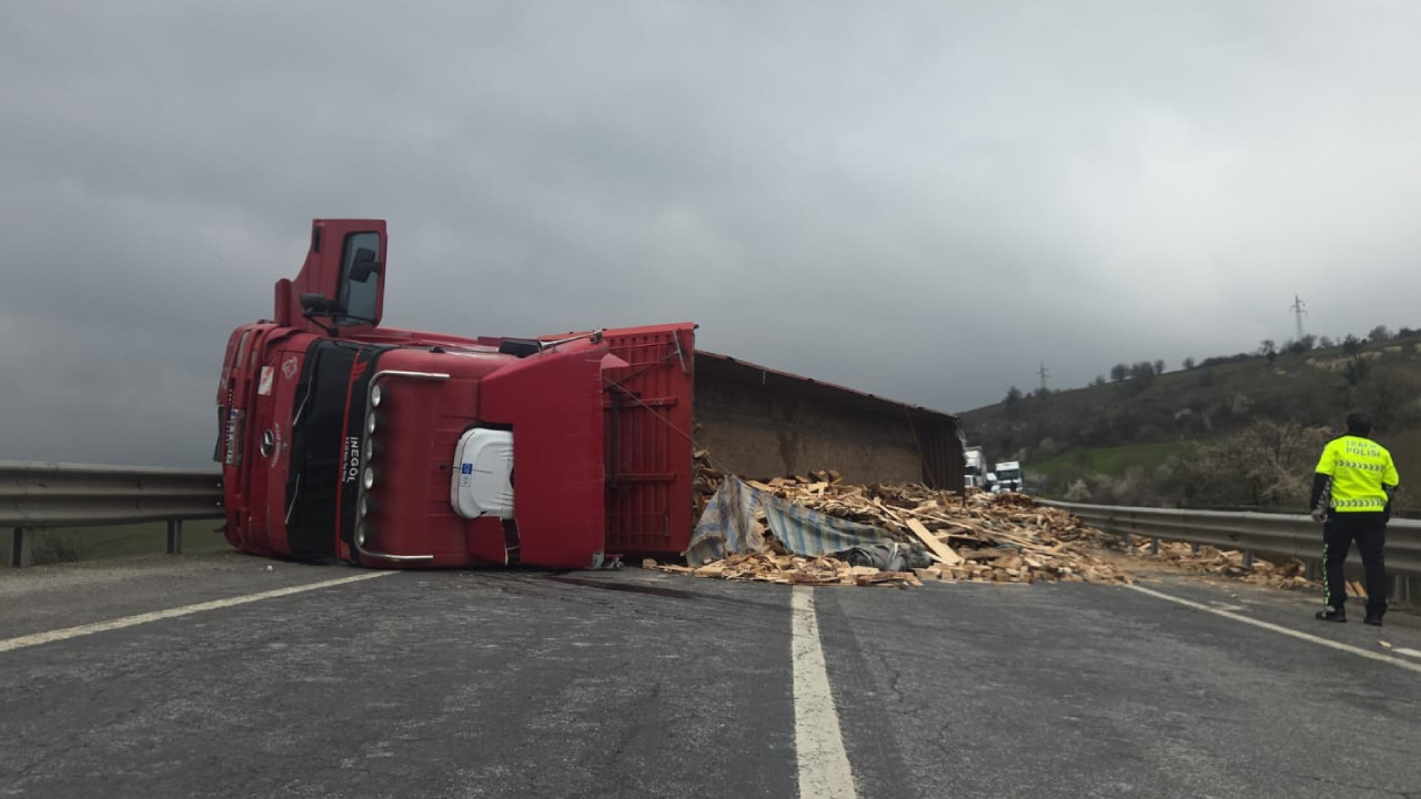 Ahşap yüklü TIR devrildi: Sürücü yaralı