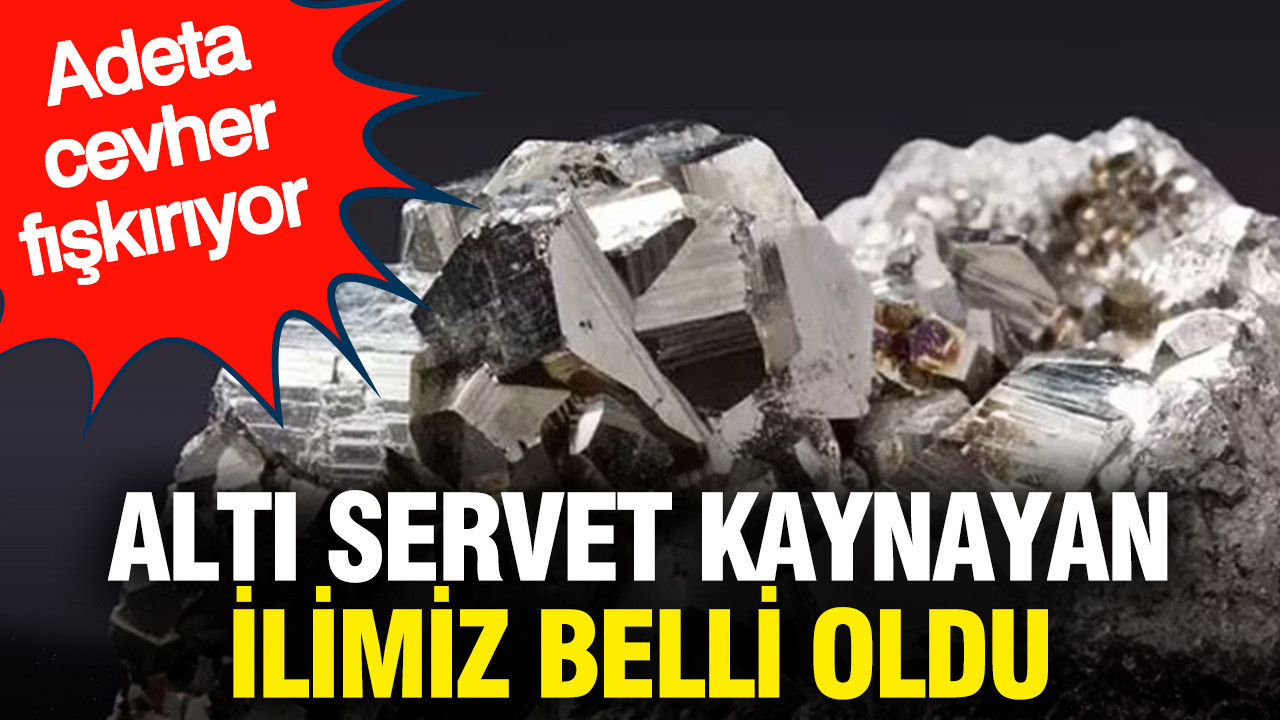 Altı servet kaynayan ilimiz belli oldu: Adeta cevher fışkırıyor