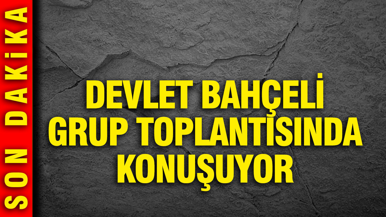 Devlet Bahçeli: Komisyon raporları adım adım yerine getirilecek