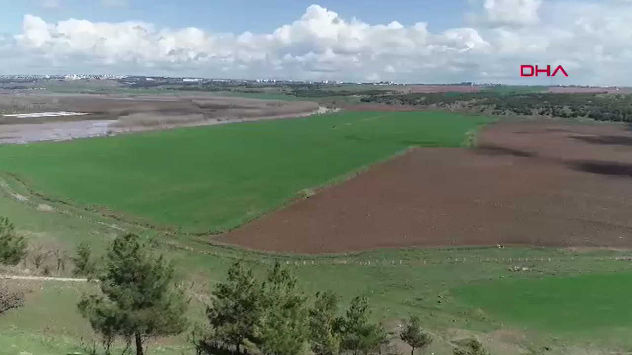 Diyarbakır’da sağanak yağış çiftçinin yüzünü güldürdü: Kuraklığa karşı umut