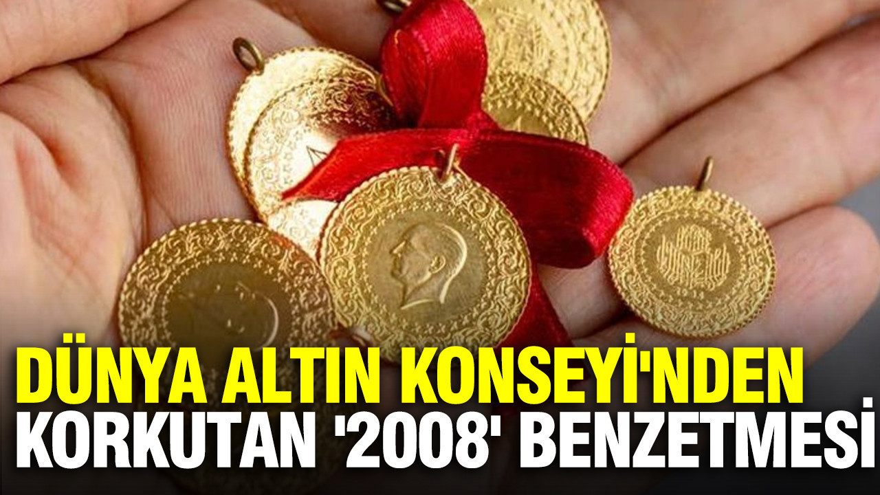 Dünya Altın Konseyi'nden korkutan '2008' benzetmesi: Büyük çöküş mü başladı?