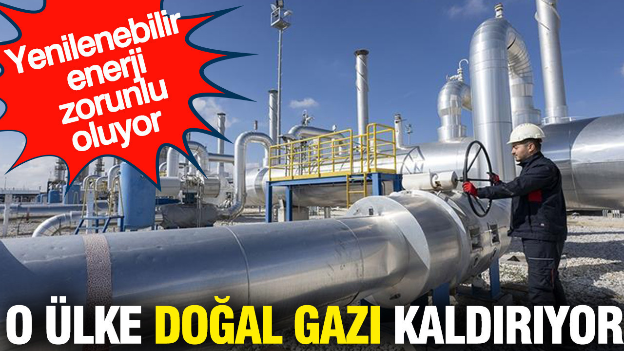İngiltere doğal gazı kaldırıyor: Yenilenebilir enerji zorunlu oluyor