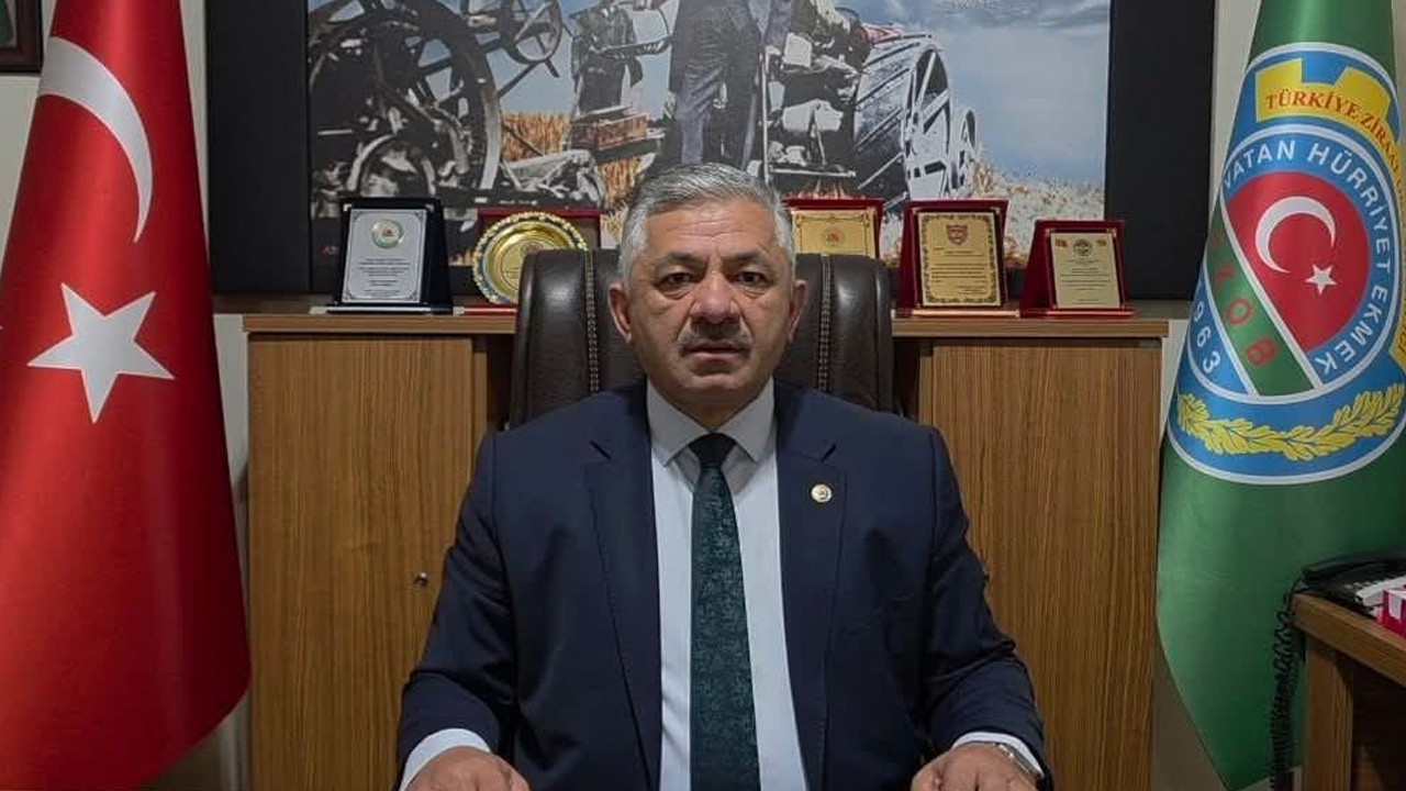 Perşembe Ziraat Odası Başkanı Arslan Soydan, fındık üreticilerine önemli uyarılarda bulundu