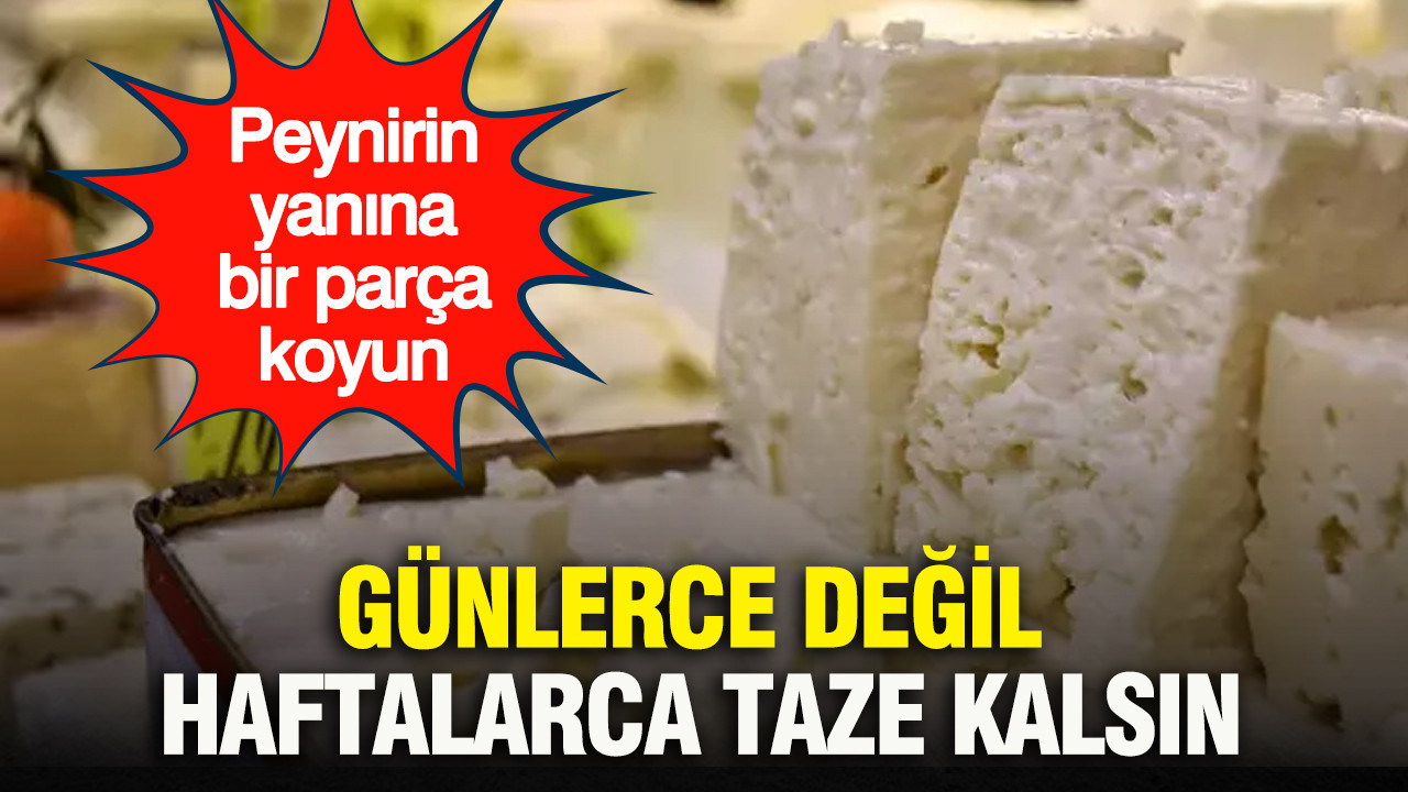 Peynirin yanına bir parça koyun: Günlerce değil haftalarca taze kalsın