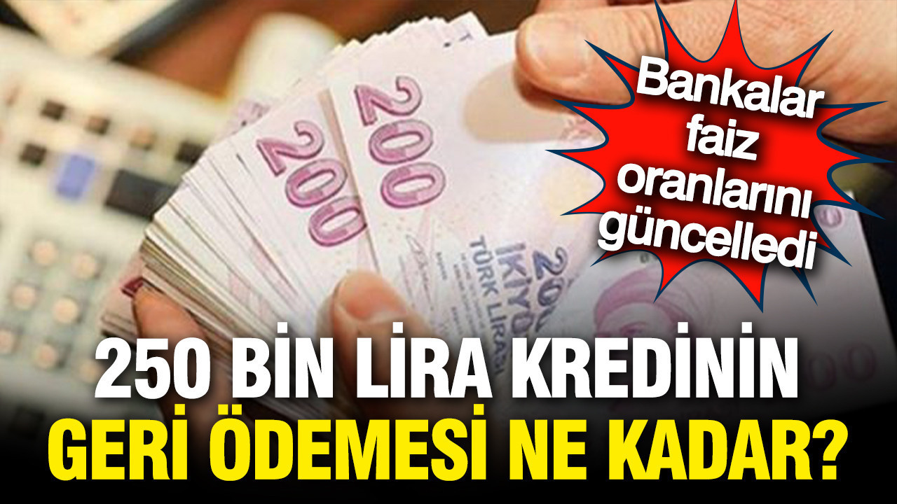 Bankalar faiz oranlarını güncelledi: 250 bin liranın geri ödemesi ne kadar?