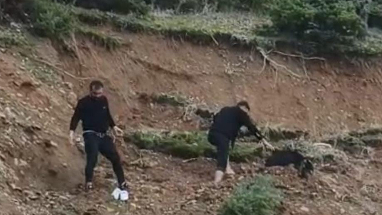 Batman’da çamura saplanan keçi köylülerin seferberliğiyle kurtarıldı