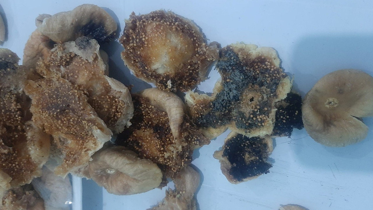 Bilecik’te Zabıta kaçak ve son kullanma tarihi geçmiş incir satan kişiye engelledi