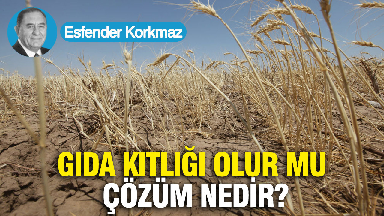 Gıda kıtlığı olur mu, çözüm nedir?