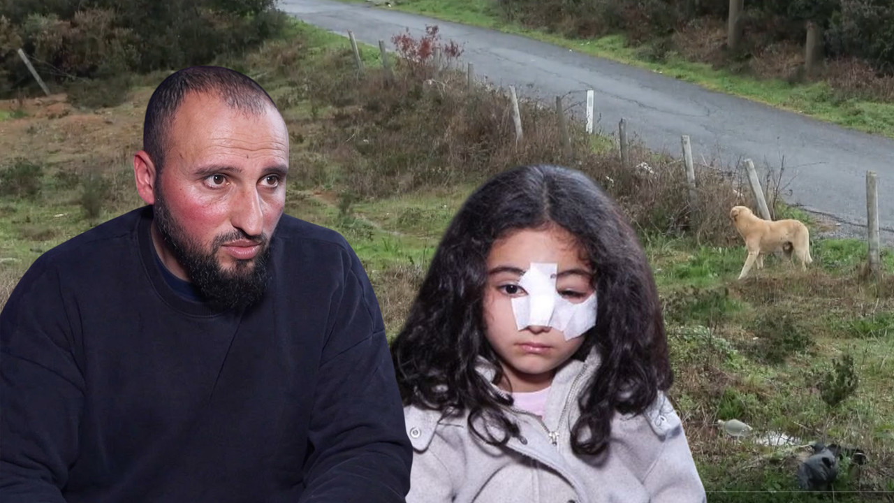 İstanbul'da bir babanın en zor anları: Kızını köpeklerin ağzından aldı