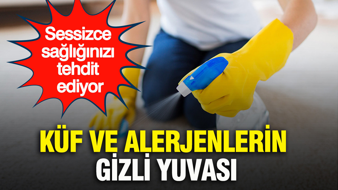 Küf ve alerjenlerin gizli yuvası: Sessizce sağlığınızı tehdit ediyor