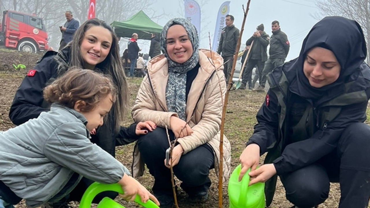 Türkeli’de yüzlerce fidan toprakla buluştu