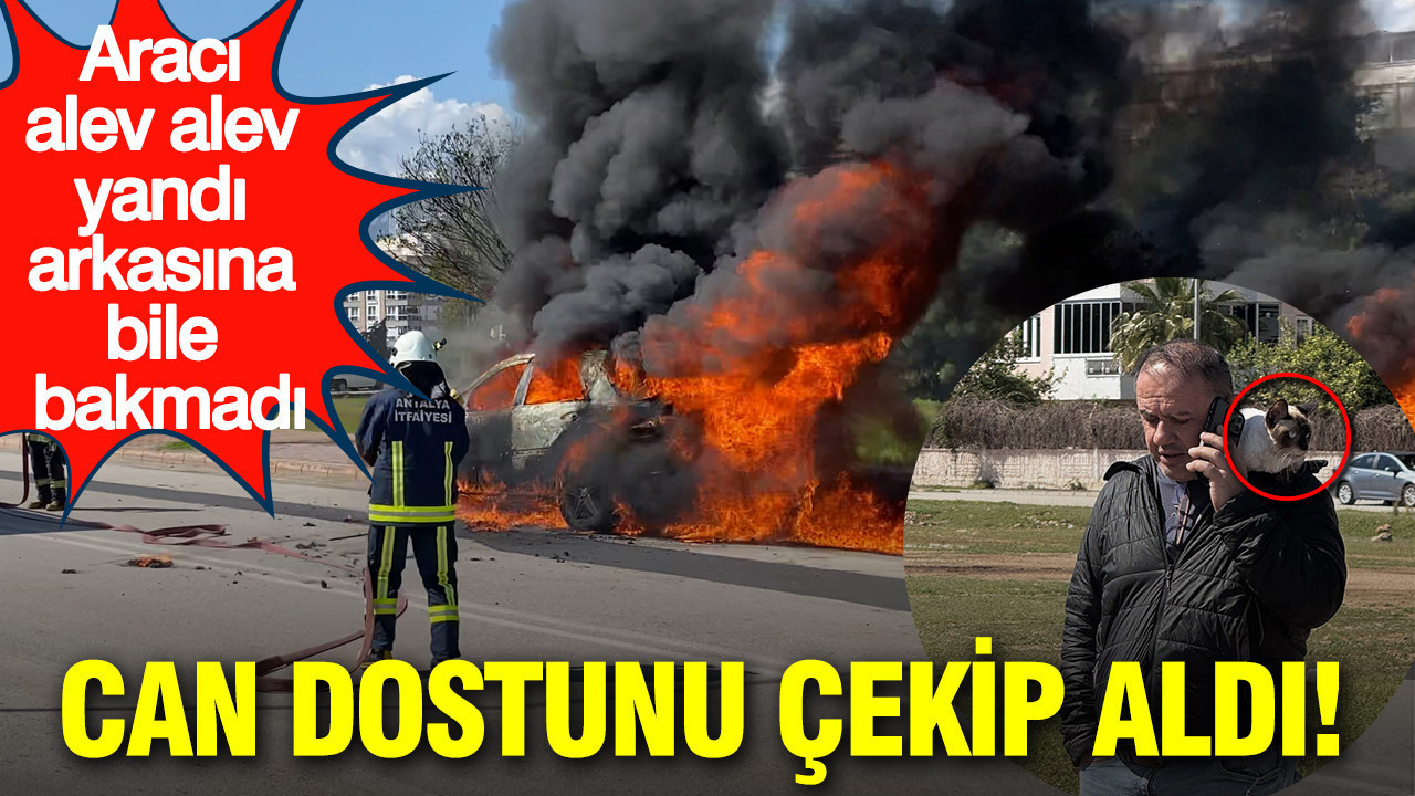 Aracı alev topuna döndü arkasına bile bakmadı: Can dostunu çekip aldı