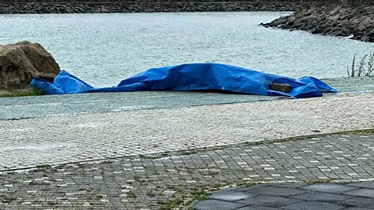 Fatsa sahilinde gizemli hareketlilik: 2 metrelik cihaz