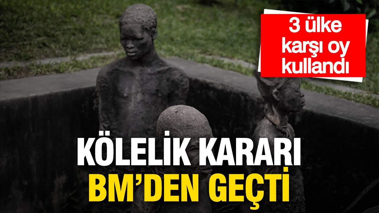 Kölelik kararı BM’den geçti: 3 ülke karşı oy kullandı