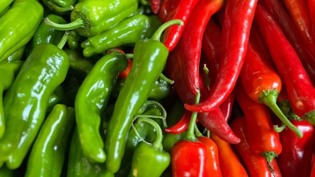 Biber fiyatları mercek altında: Ticaret Bakanlığı denetim başlattı