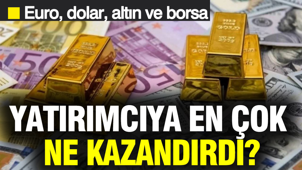 Altın, borsa, euro ve dolar: Yatırımcıya en çok ne kazandırdı?