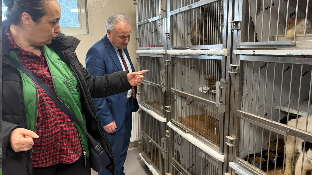 Çilingir açtı, dehşet ortaya çıktı: Çok sayıda hayvan koruma altına alındı