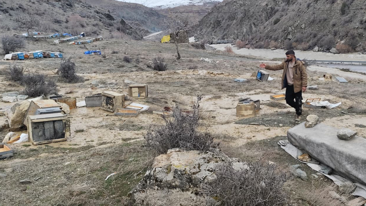 Hakkari'de sel sonrası 150 kovan gördü
