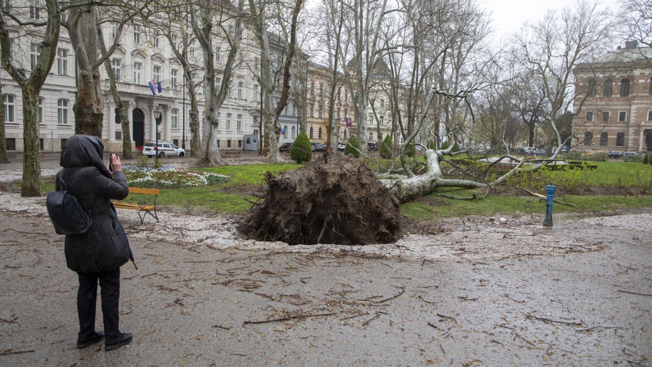 Hırvatistan'ı fırtına vurdu: Okullar tatil ilan edildi