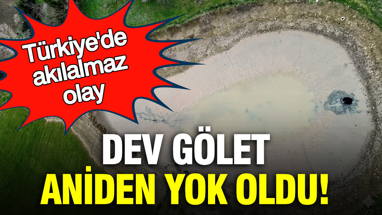 Sakarya'da akılalmaz olay: Dev gölet aniden yok oldu... Balıklar ortada kaldı, sular 1 km öteden çıktı