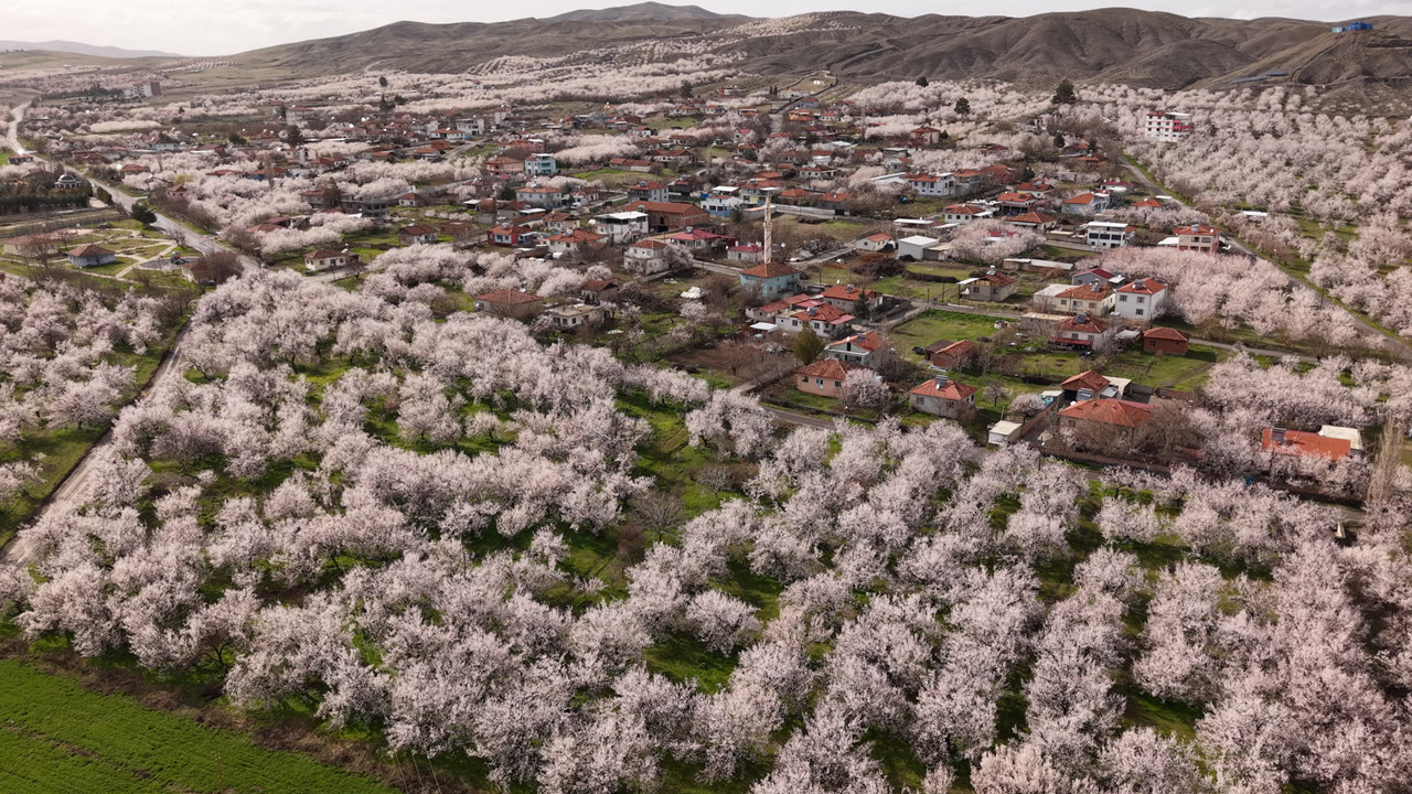 Dünyanın gözü bu ovada: Malatya beyaz gelinliğini giydi