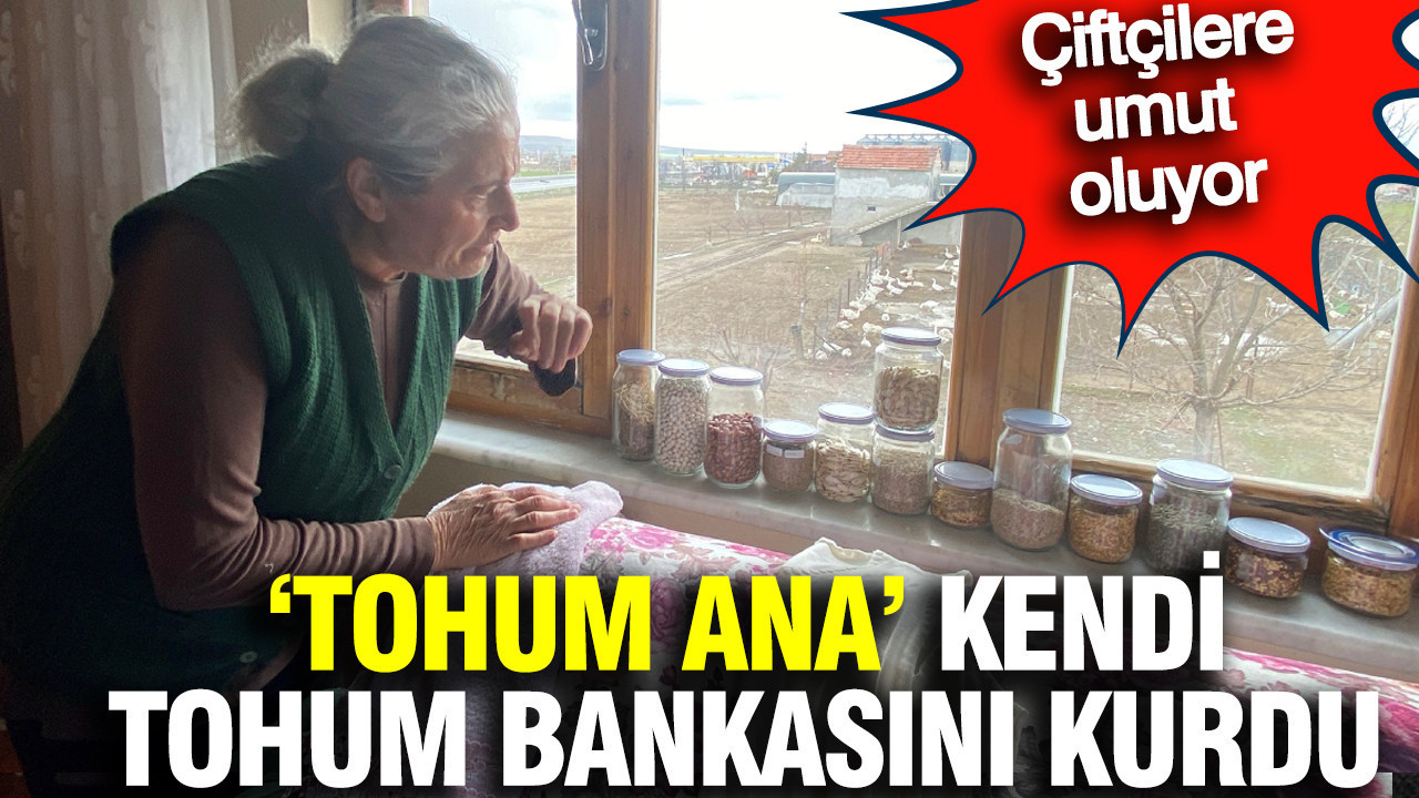Yozgatlı "Tohum Ana" 20 yılda 500’ten fazla ata tohumuyla kendi tohum bankasını kurdu