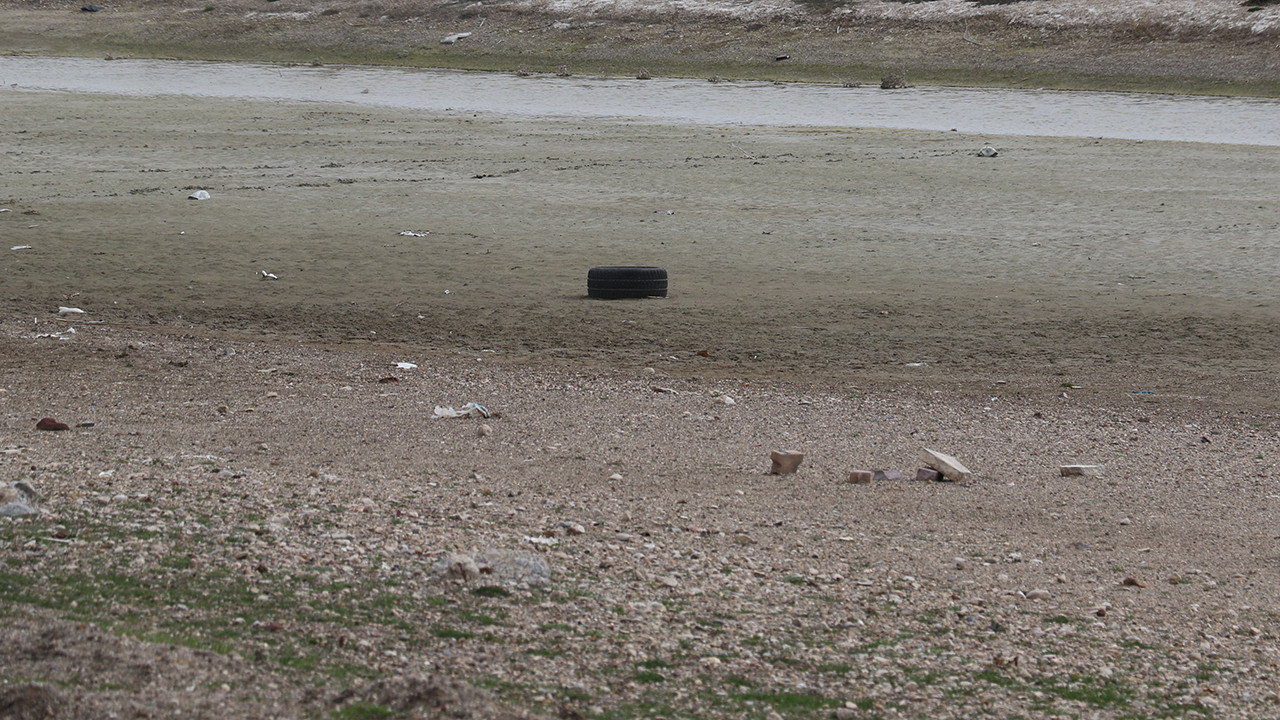 Allı turnaların yuvası tehlikede