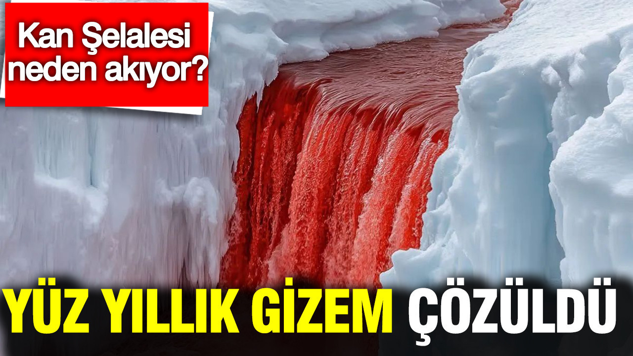 Antarktika’da yüz yıllık soru yanıt buldu: Kan Şelalesi’nin gizemi çözüldü
