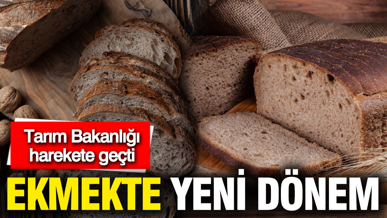 Ekmekte yeni dönem: Koyu renkli ekmeklere yasak, Tarım Bakanlığı harekete geçti