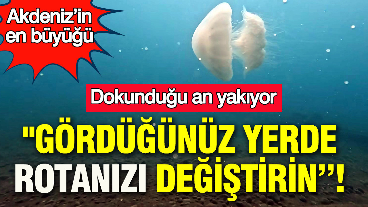 "Gördüğünüz yerde rotanızı değiştirin”: Akdeniz’in en büyüğü: Dokunduğu an yakıyor
