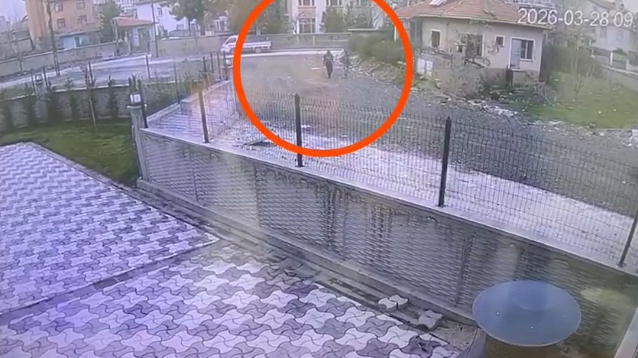 Güneş enerjisi paneli çalan 2 kişi yakalandı