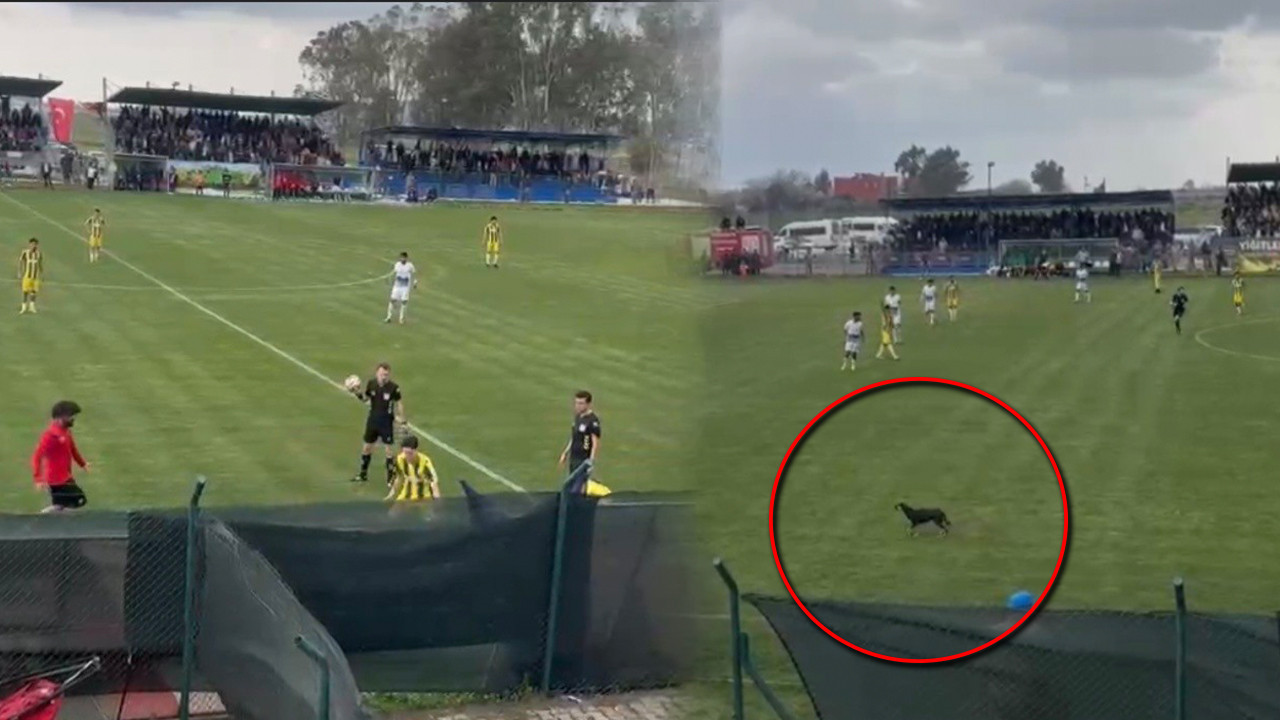 Maça sahaya giren beklenmedik misafir damga vurdu