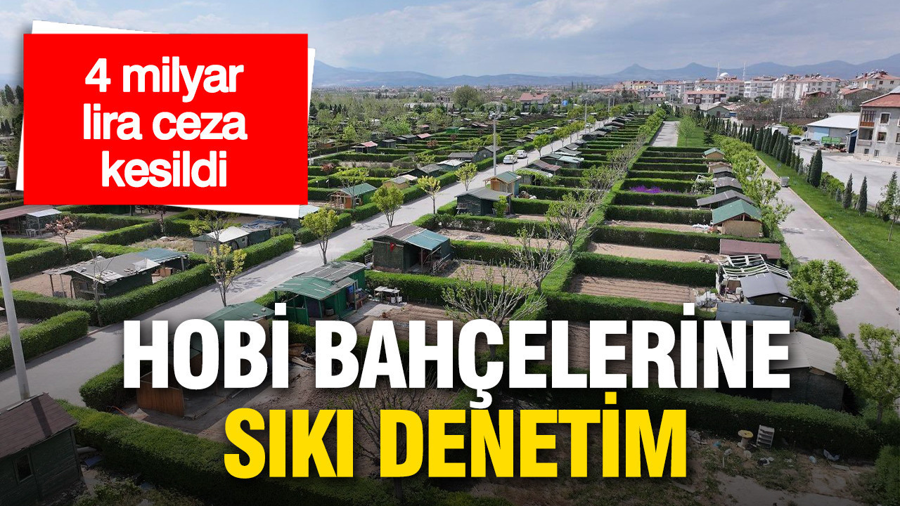 Tiny house ve hobi bahçelerine sıkı denetim: 4 milyar TL ceza kesildi