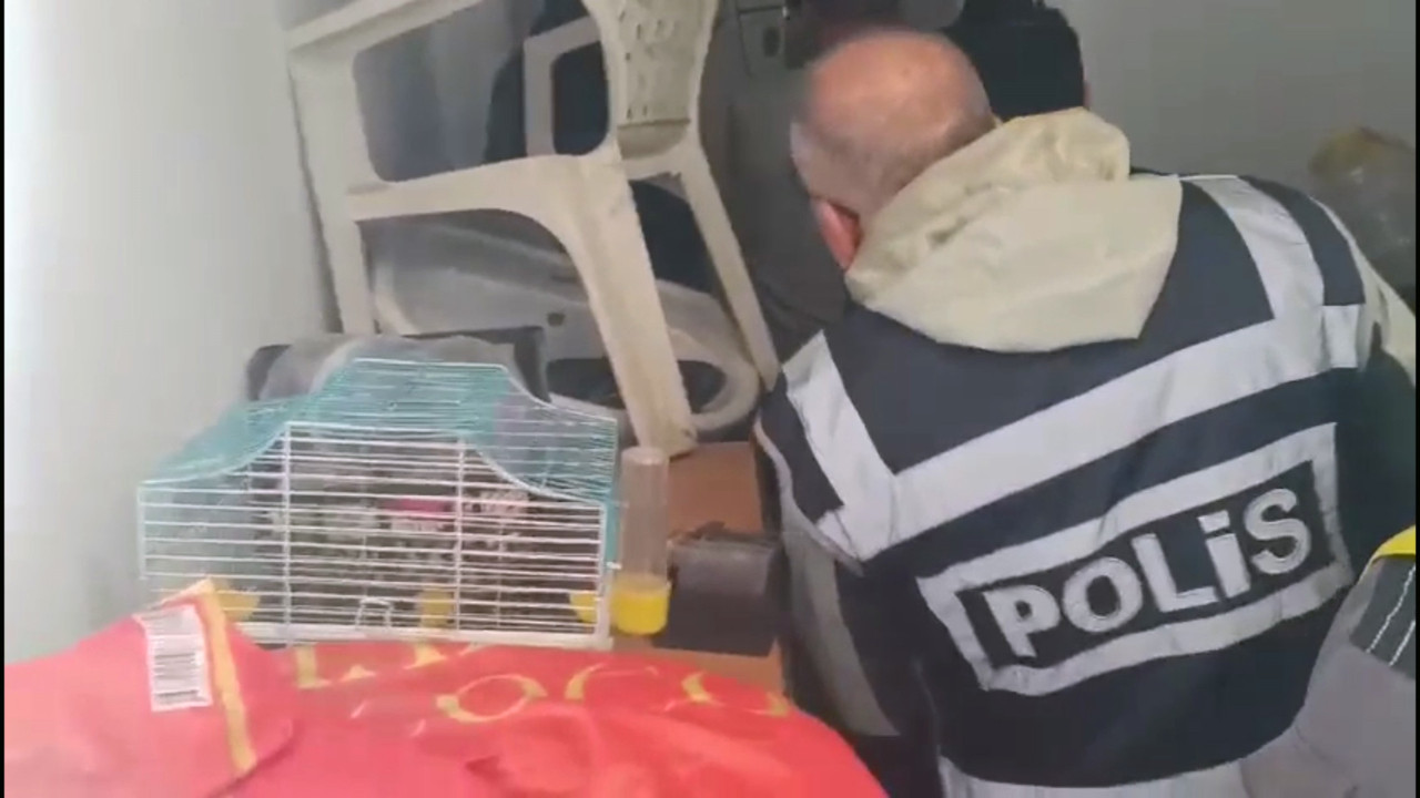 Turistleri hedef aldılar: Kart dolandırıcılarına operasyon