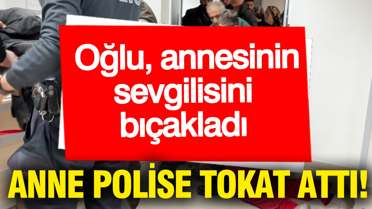 Oğul annesinin sevgilisini bıçakladı, anne ise polis memurunu tokatladı