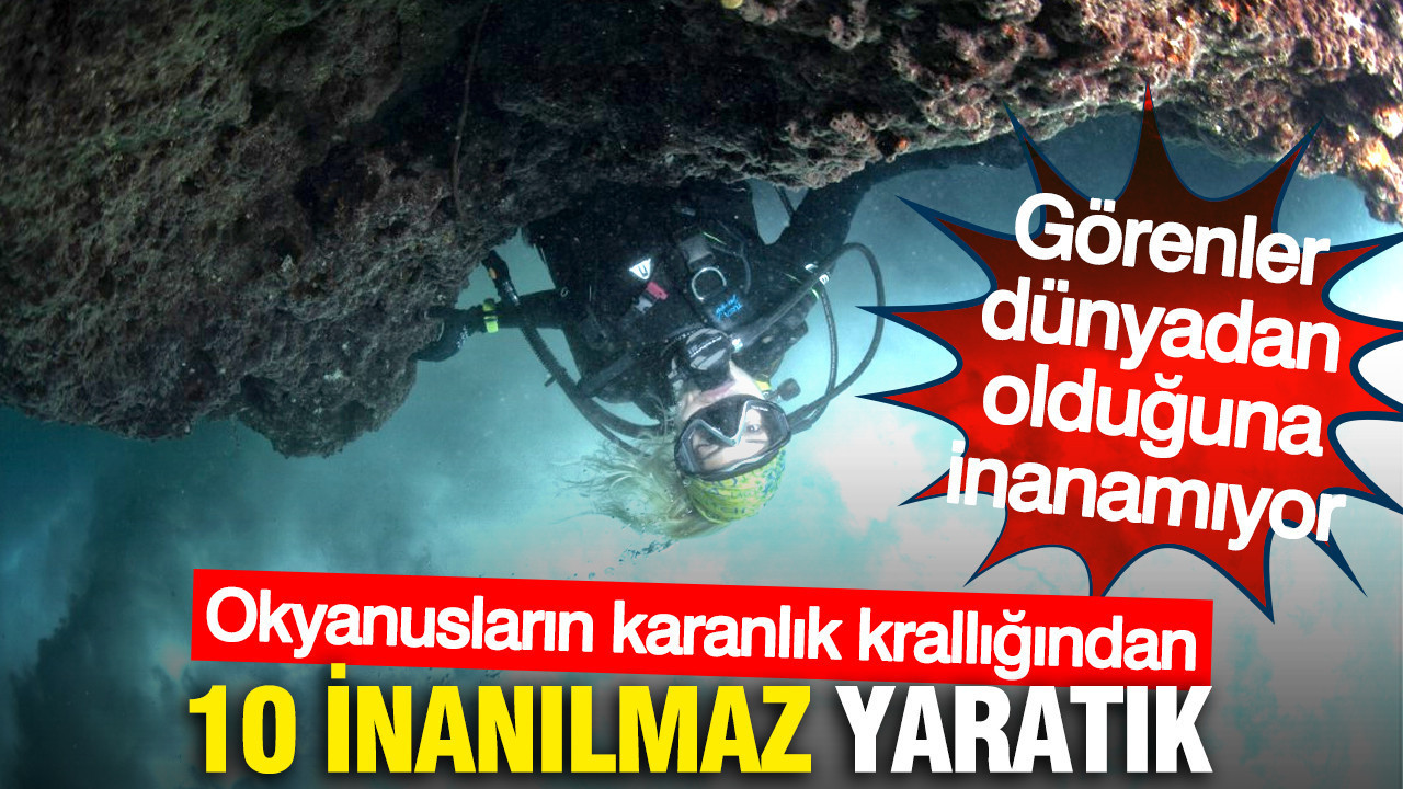 Okyanusların karanlık krallığından 10 inanılmaz yaratık... Görenler dünyadan olduğuna inanamıyor