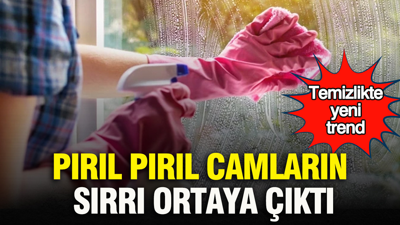 Temizlikte yeni trend: Pırıl pırıl camların sırrı ortaya çıktı