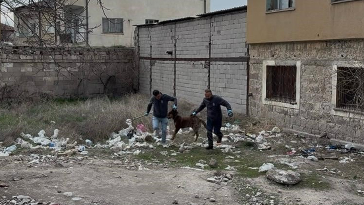 3 yaşındaki çocuğuna köpek saldıran baba o anları anlattı