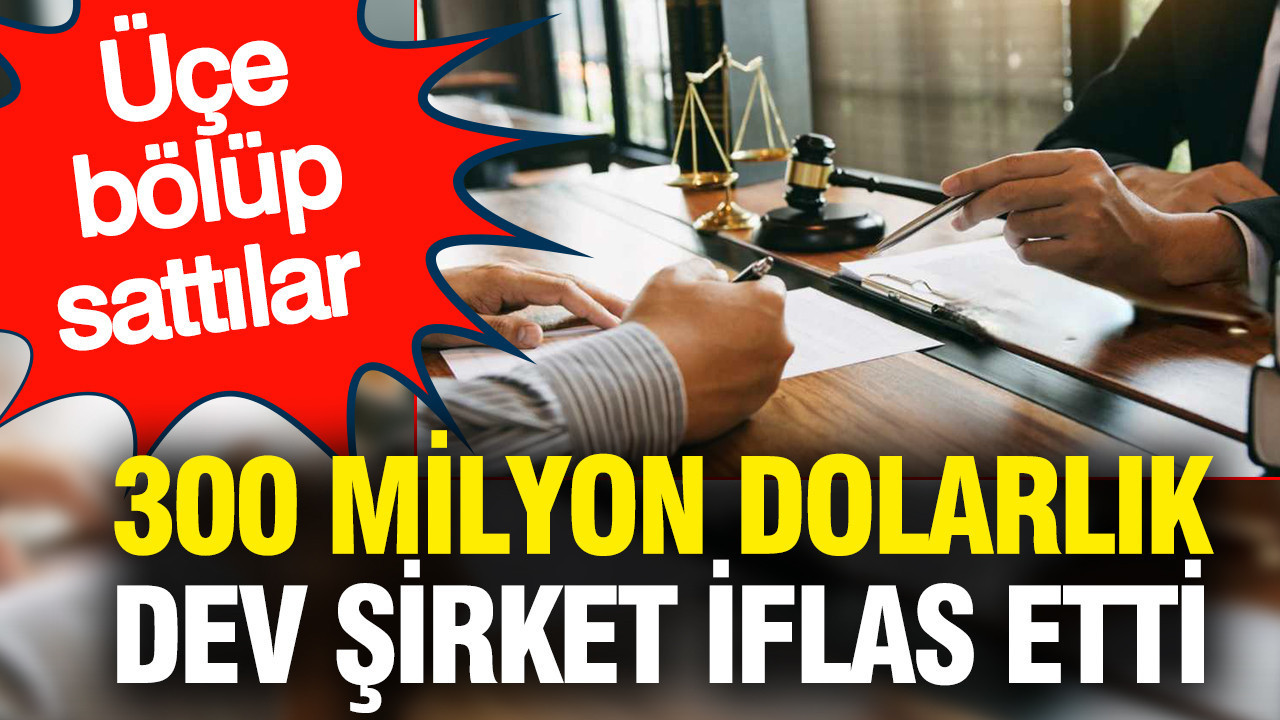 300 milyon dolarlık dev şirket iflas etti: Üçe bölüp sattılar