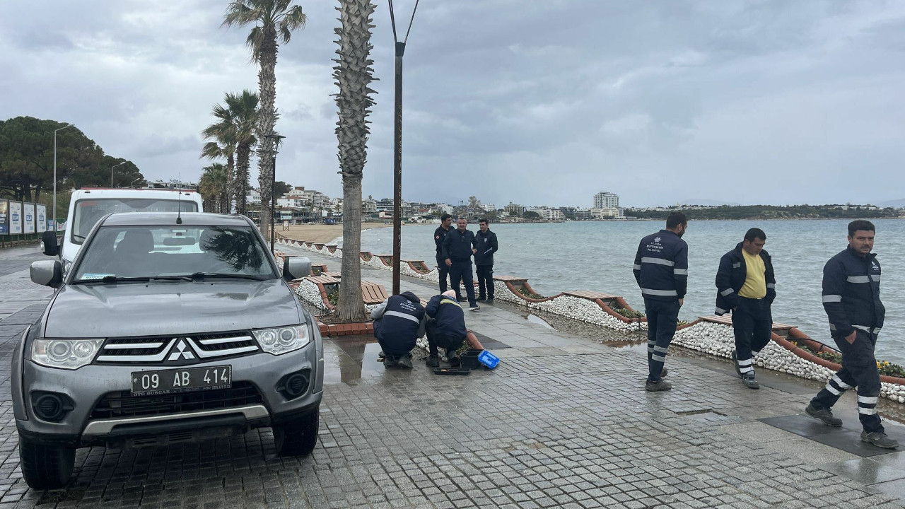 Altınkum'da elektrik kaçağına kapılan köpek can verdi