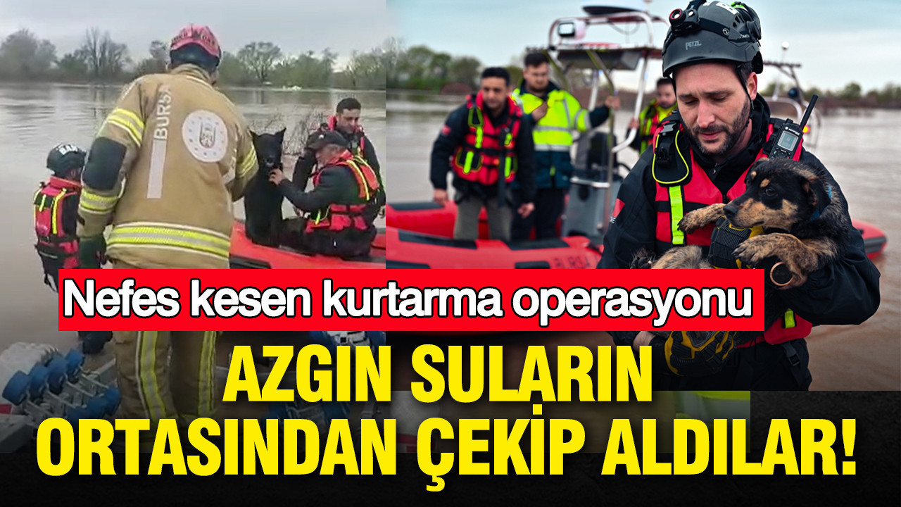 Azgın suların ortasından çekip aldılar: Bursa’da nefes kesen kurtarma
