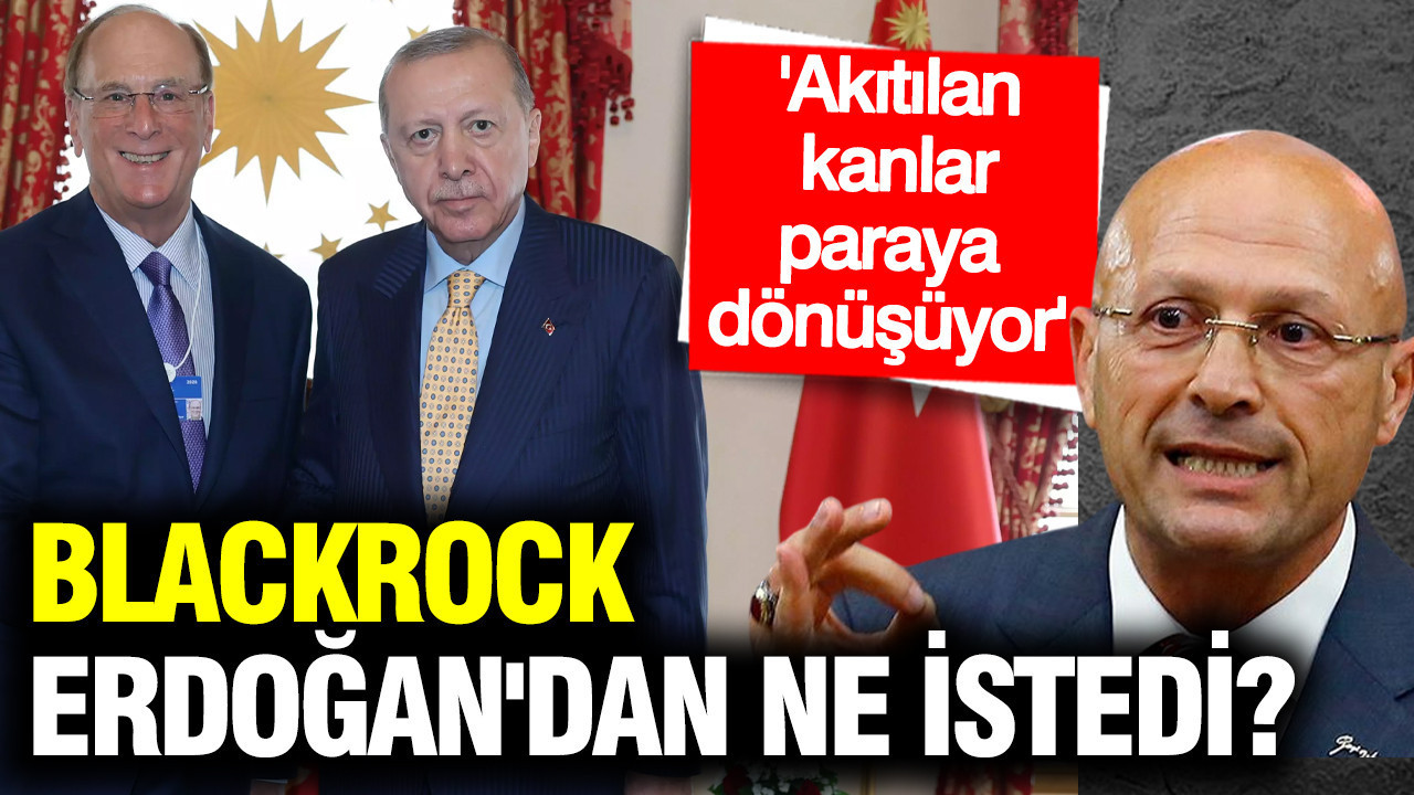 Blackrock Erdoğan'dan ne istedi? Akıtılan kanlar paraya dönüşüyor