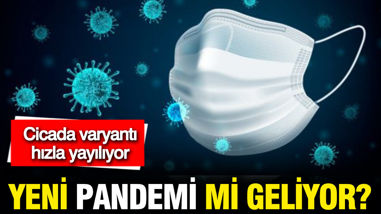 Cicada varyantı hızla yayılıyor: Yeni pandemi riski var mı?