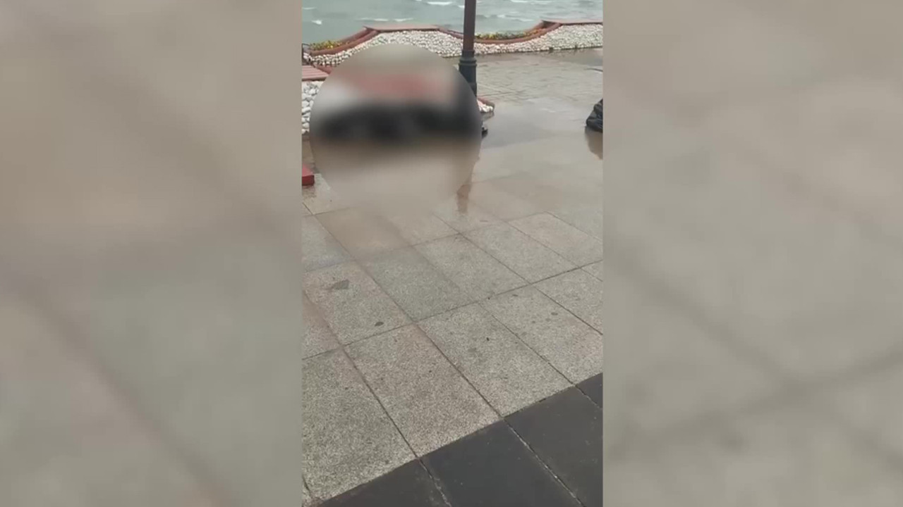 Köpek, elektrik kaçağı nedeniyle feci şekilde can verdi